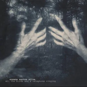 All the birds and a telephone ringing